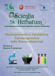 LocScientiaB2